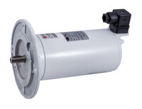 DC motor - CEM