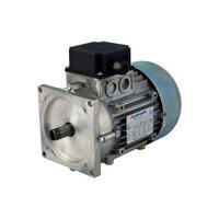 230V motor