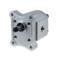 Gear pumps: Group 1