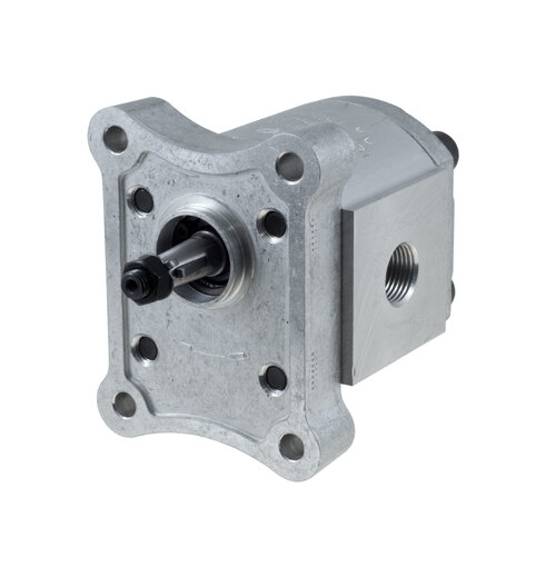 Gear pumps: Group 1