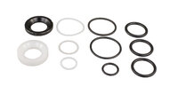 PAVKTS - PAVK ball valve seal kit