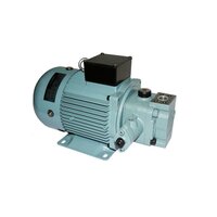 Rotary vane pumps