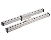 AW-SS - Rodless cylinders
