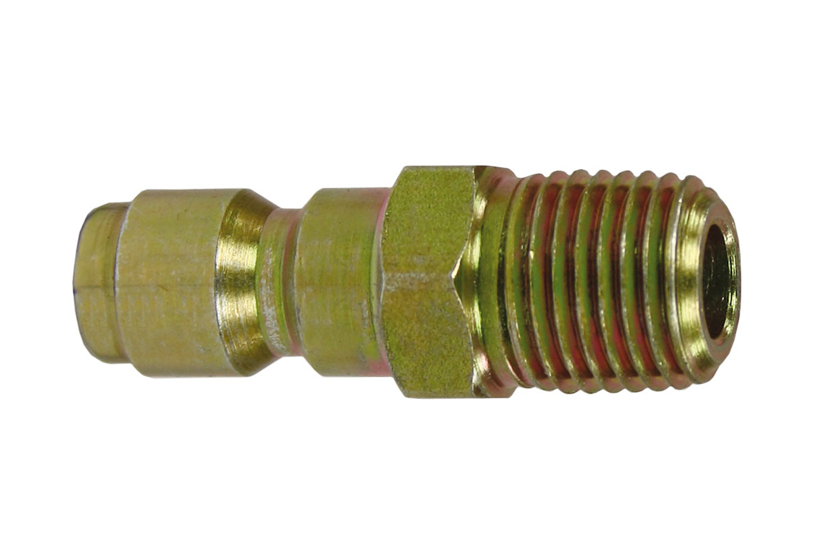 CAT-SP53-04.jpg