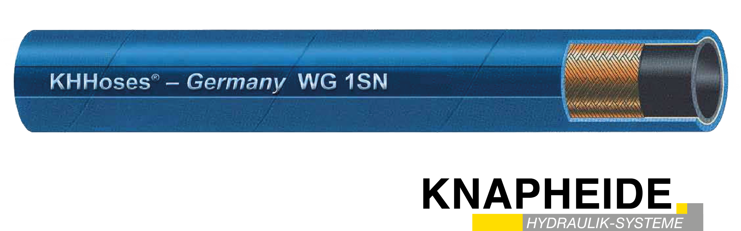 CP1.png