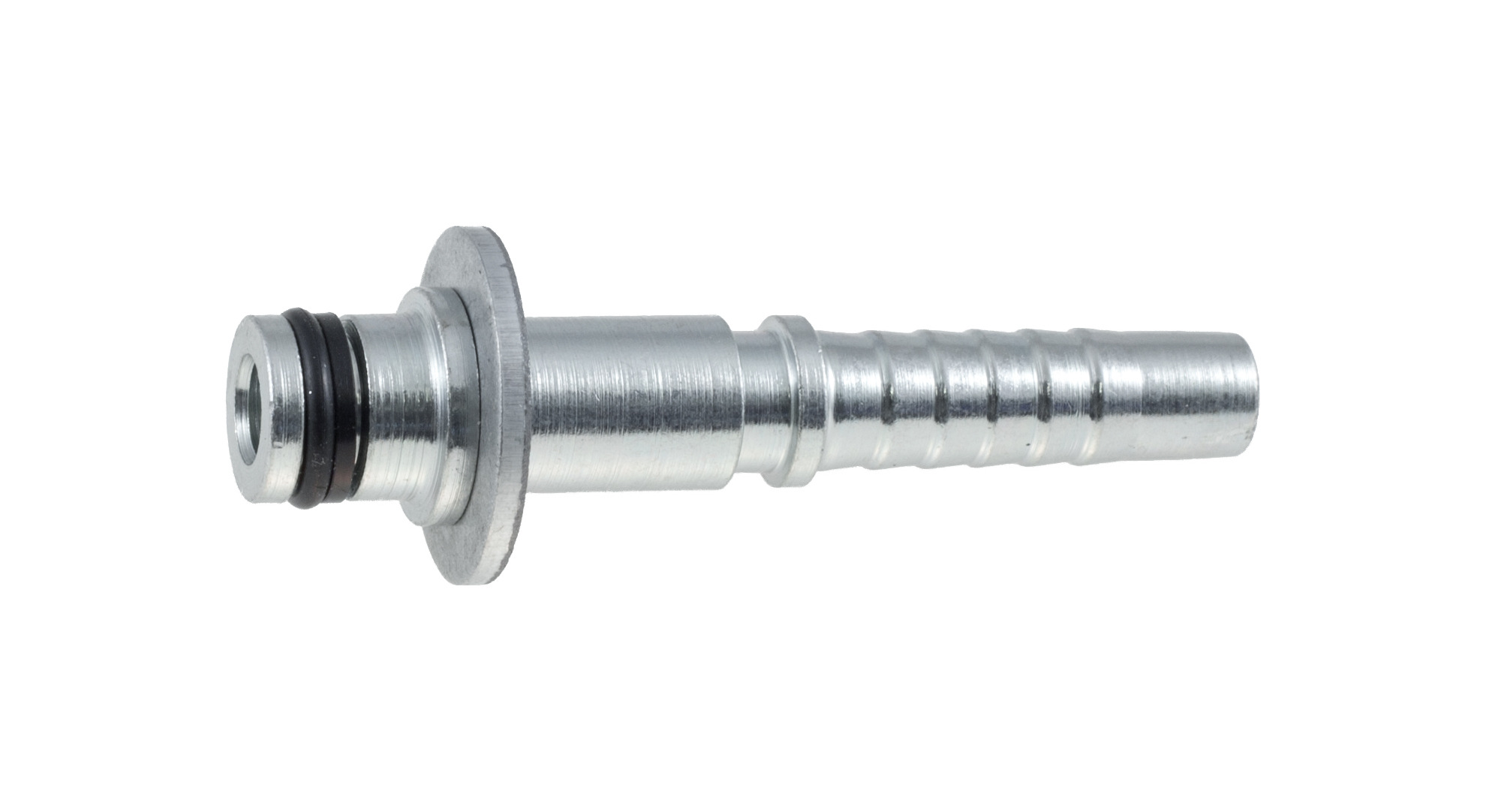 P291-05.jpg